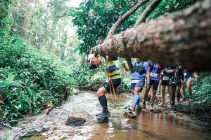 BIB: 
                            <button type="button" onclick="openModal(25372136)" class="btn btn-primary btn-sm float-right btn-popup" data-toggle="modal" data-target=".modal-high-quality">
                        <i class="fas fa-shopping-cart"></i> Add to Cart
                    </button>
                                            <button type="button" onclick="isThisMe(25372136, true)" class="btn btn-success btn-sm float-right btn-popup btn-isme hidden" data-toggle="tooltip" data-placement="bottom" title="นี่คือรูปของคุณใช่ไหม คลิกที่นี่เพื่อเอาเข้าอัลบั้ม">
                        <i class="fas fa-plus"></i> Add to album
                    </button>
                    <button type="button" onclick="isThisMe(25372136, false)" class="btn btn-warning btn-sm float-right btn-popup btn-isnotme hidden">
                        <i class="fas fa-ban"></i> Remove from album
                    </button>